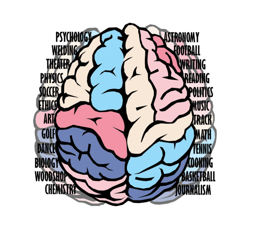 Areas of the brain resemble different subjects student want to learn