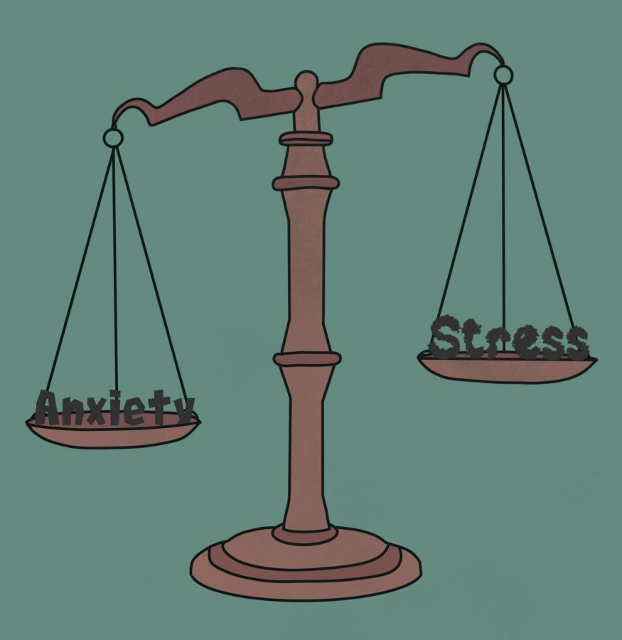 Stress V. Anxiety - Eliott Coda