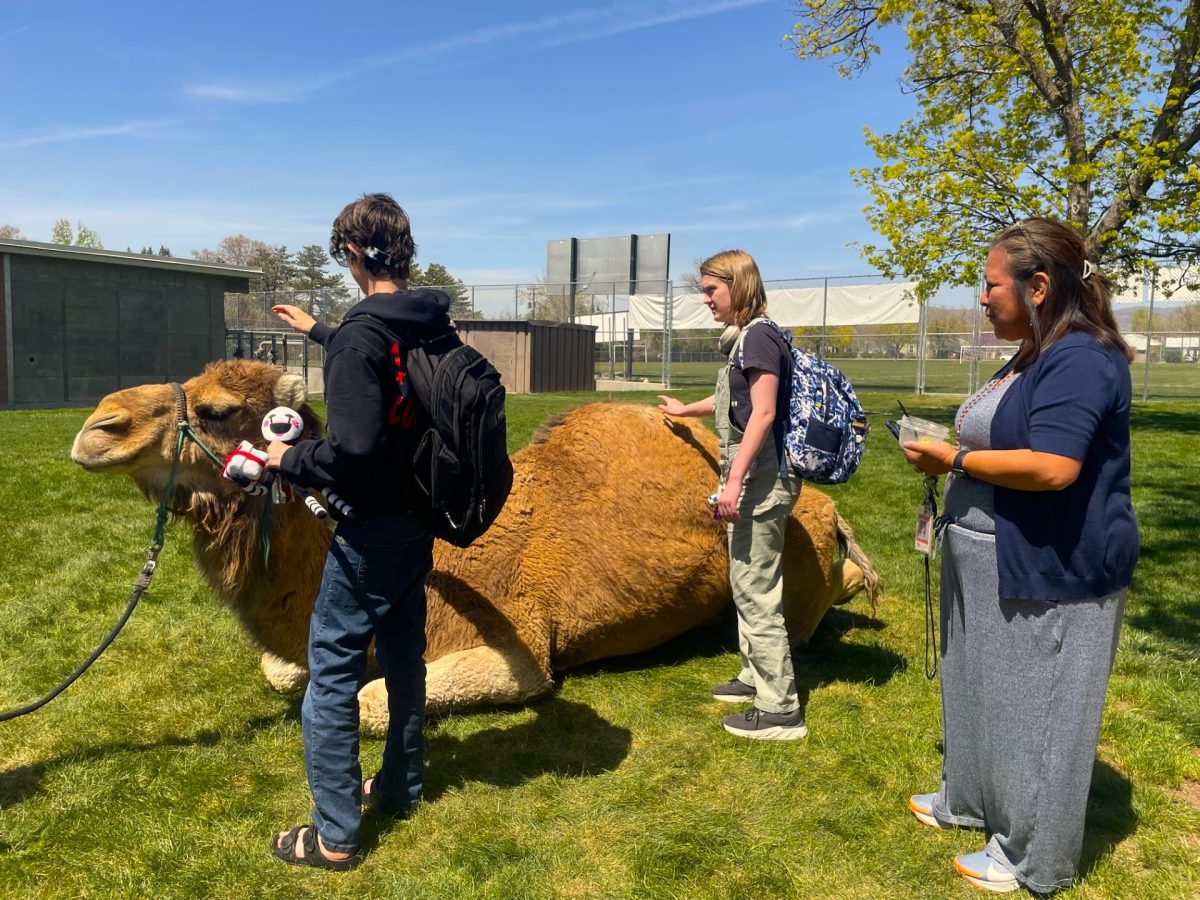Highland students tentatively pet Wednesday the camel. 